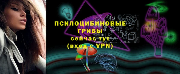 индика Чердынь