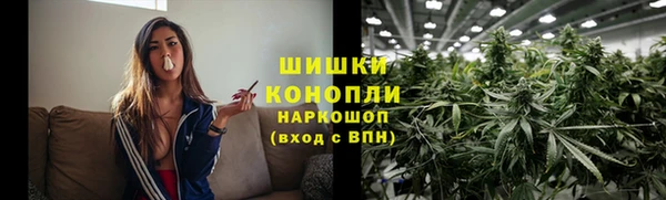 гашик Нягань