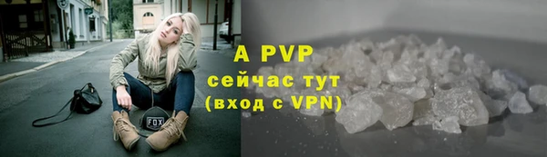 прущие грибы Нязепетровск