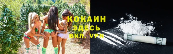прущие грибы Нязепетровск