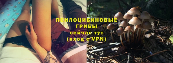 гашик Хадыженск